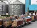 Adani Agri Logistics dispatches 30,000 tonnes of food grains for PMGKAY - Hindi News | Adani Agri Logistics dispatches 30,000 tonnes of food grains for PMGKAY | Latest business News at Lokmattimes.com