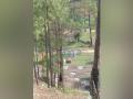 Almora admin sets up cremation ground for Covid victims in forest area - Hindi News | Almora admin sets up cremation ground for Covid victims in forest area | Latest national News at Lokmattimes.com