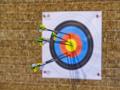 Good showing by Indian compound archers at 7th Fazza World Ranking Tournament - Hindi News | Good showing by Indian compound archers at 7th Fazza World Ranking Tournament | Latest other-sports News at Lokmattimes.com