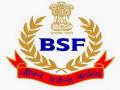 10 more BSF personnel test positive for COVID-19 - Hindi News | 10 more BSF personnel test positive for COVID-19 | Latest national News at Lokmattimes.com