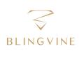Blingvine celebrates return to work with their latest office wear jewellery collection - Hindi News | Blingvine celebrates return to work with their latest office wear jewellery collection | Latest business News at Lokmattimes.com