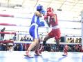 Sub-Junior National Boxing Championships: Haryana boxers confirm 18 medals - Hindi News | Sub-Junior National Boxing Championships: Haryana boxers confirm 18 medals | Latest other-sports News at Lokmattimes.com