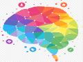 Study looks for the source of creativity in the brain - Hindi News | Study looks for the source of creativity in the brain | Latest News at Lokmattimes.com
