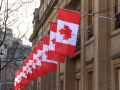 More than 15k Indian tech workers came to Canada over past 12 months: Report - Hindi News | More than 15k Indian tech workers came to Canada over past 12 months: Report | Latest technology News at Lokmattimes.com