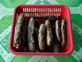 ED conducts search operation Rameshwaram in Tamil Nadu regarding sea-cucumber smuggling - Hindi News | ED conducts search operation Rameshwaram in Tamil Nadu regarding sea-cucumber smuggling | Latest national News at Lokmattimes.com
