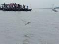 Siberian birds flock to Sangam, attract tourists in Prayagraj - Hindi News | Siberian birds flock to Sangam, attract tourists in Prayagraj | Latest national News at Lokmattimes.com