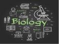6 NCERT Biology Hacks to Score 360/360 in NEET UG 2022 | Score 360 In Biology - Hindi News | 6 NCERT Biology Hacks to Score 360/360 in NEET UG 2022 | Score 360 In Biology | Latest business News at Lokmattimes.com