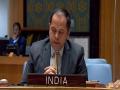 India at UNSC briefing opposes use of chemical weapons under any circumstances - Hindi News | India at UNSC briefing opposes use of chemical weapons under any circumstances | Latest international News at Lokmattimes.com