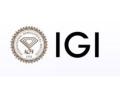 IGI celebrates International Women's Day with #TheSilentDiamonds - Hindi News | IGI celebrates International Women's Day with #TheSilentDiamonds | Latest business News at Lokmattimes.com
