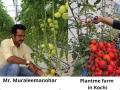 PlantMe Agro Solutions partners with cafes and resorts to provide pesticide-free food - Hindi News | PlantMe Agro Solutions partners with cafes and resorts to provide pesticide-free food | Latest business News at Lokmattimes.com