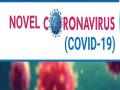 Karnataka reports 99 new COVID-19 cases - Hindi News | Karnataka reports 99 new COVID-19 cases | Latest national News at Lokmattimes.com