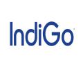 IndiGo achieves real-time travel data integration with Red Hat Fuse - Hindi News | IndiGo achieves real-time travel data integration with Red Hat Fuse | Latest business News at Lokmattimes.com