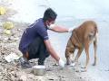 Good Samaritans feed dogs across different locations in Delhi amid lockdown - Hindi News | Good Samaritans feed dogs across different locations in Delhi amid lockdown | Latest national News at Lokmattimes.com