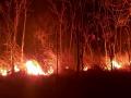 Fire erupts in forest near Srisailam temple in AP, doused - Hindi News | Fire erupts in forest near Srisailam temple in AP, doused | Latest national News at Lokmattimes.com