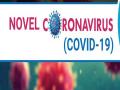 12 more COVID-19 cases in Rajasthan, state tally reaches 1046 - Hindi News | 12 more COVID-19 cases in Rajasthan, state tally reaches 1046 | Latest national News at Lokmattimes.com