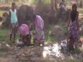 Water scarcity forces Pakhnachua villagers to consume contaminated water - Hindi News | Water scarcity forces Pakhnachua villagers to consume contaminated water | Latest national News at Lokmattimes.com