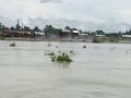 Assam: Fourth wave of flood wreaks havoc in Dibrugarh - Hindi News | Assam: Fourth wave of flood wreaks havoc in Dibrugarh | Latest national News at Lokmattimes.com
