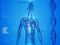 Study discovers distinct biological ages across individuals' various organs, systems - Hindi News | Study discovers distinct biological ages across individuals' various organs, systems | Latest technology News at Lokmattimes.com