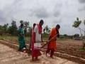 Andhra Pradesh: Girls pull plough to aid father in farming in Chittoor district - Hindi News | Andhra Pradesh: Girls pull plough to aid father in farming in Chittoor district | Latest national News at Lokmattimes.com