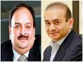 India closely monitoring legal proceedings against Mehul Choksi, Nirav Modi: MEA - Hindi News | India closely monitoring legal proceedings against Mehul Choksi, Nirav Modi: MEA | Latest international News at Lokmattimes.com
