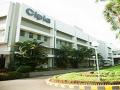 Cipla expands partnership with Roche Pharma to improve access for oncology medicines - Hindi News | Cipla expands partnership with Roche Pharma to improve access for oncology medicines | Latest business News at Lokmattimes.com