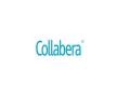 Collabera welcomes Karthik Krishnamurthy as new CEO - Hindi News | Collabera welcomes Karthik Krishnamurthy as new CEO | Latest business News at Lokmattimes.com