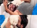 WATCH: Kartik Aaryan enjoys company of his furry friends - Hindi News | WATCH: Kartik Aaryan enjoys company of his furry friends | Latest entertainment News at Lokmattimes.com