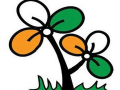 Trinamool slams budget, calls it lengthy speech without vision - Hindi News | Trinamool slams budget, calls it lengthy speech without vision | Latest national News at Lokmattimes.com