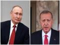 Putin wishes Erdogan, wife full recovery from coronavirus - Hindi News | Putin wishes Erdogan, wife full recovery from coronavirus | Latest international News at Lokmattimes.com