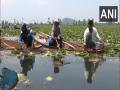 Dal Lake in Srinagar undergoes cleaning following COVID-19 guidelines - Hindi News | Dal Lake in Srinagar undergoes cleaning following COVID-19 guidelines | Latest national News at Lokmattimes.com