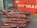 Red sanders worth Rs 5 crore seized at Chennai port - Hindi News | Red sanders worth Rs 5 crore seized at Chennai port | Latest national News at Lokmattimes.com