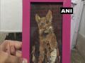 Man in MP's Jabalpur makes eco-friendly artwork with leaves, petals, tree bark - Hindi News | Man in MP's Jabalpur makes eco-friendly artwork with leaves, petals, tree bark | Latest national News at Lokmattimes.com
