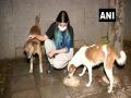 It is an achievement for animal lovers, says Veterinary student on Delhi HCs order of right to food for dogs - Hindi News | It is an achievement for animal lovers, says Veterinary student on Delhi HCs order of right to food for dogs | Latest national News at Lokmattimes.com