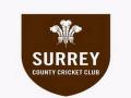 Surrey Country Cricket Club appoint Gareth Batty as interim Head Coach - Hindi News | Surrey Country Cricket Club appoint Gareth Batty as interim Head Coach | Latest cricket News at Lokmattimes.com