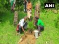 Odisha: 72-year-old Tree Teacher plants more than 30,000 trees over 60 years - Hindi News | Odisha: 72-year-old Tree Teacher plants more than 30,000 trees over 60 years | Latest national News at Lokmattimes.com