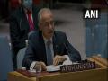 Foreign terror networks assisting Taliban in "barbaric acts" in Afghanistan: Envoy at UNSC - Hindi News | Foreign terror networks assisting Taliban in "barbaric acts" in Afghanistan: Envoy at UNSC | Latest international News at Lokmattimes.com