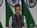 Pakistan nervous over repeal of Article 370: India - Hindi News | Pakistan nervous over repeal of Article 370: India | Latest politics News at Lokmattimes.com