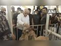 Bhupendra Patel visits lumpy virus vaccination centre as disease spreads out in Gujarat - Hindi News | Bhupendra Patel visits lumpy virus vaccination centre as disease spreads out in Gujarat | Latest national News at Lokmattimes.com
