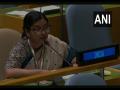 Pak has upstreamed terrorism, downstreamed hate speech: India at UN - Hindi News | Pak has upstreamed terrorism, downstreamed hate speech: India at UN | Latest international News at Lokmattimes.com