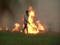 More stubble burning recorded this year till Oct 21: PRSC - Hindi News | More stubble burning recorded this year till Oct 21: PRSC | Latest national News at Lokmattimes.com
