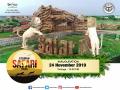 Etawah lion safari opened for public - Hindi News | Etawah lion safari opened for public | Latest national News at Lokmattimes.com
