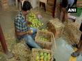 Sales of Alphonso mangoes slump in Mumbai, traders suffer during lockdown - Hindi News | Sales of Alphonso mangoes slump in Mumbai, traders suffer during lockdown | Latest maharashtra News at Lokmattimes.com