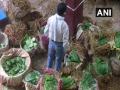 Unlock1: Business of betel leaves resumes in UP's Varanasi - Hindi News | Unlock1: Business of betel leaves resumes in UP's Varanasi | Latest national News at Lokmattimes.com