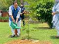 JP Nadda plants sapling on World Environment Day - Hindi News | JP Nadda plants sapling on World Environment Day | Latest national News at Lokmattimes.com