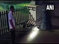 Forest dept staff rescues 8-foot-long crocodile from Lakshmi Vilas Palace in Gujarat's Vadodara - Hindi News | Forest dept staff rescues 8-foot-long crocodile from Lakshmi Vilas Palace in Gujarat's Vadodara | Latest national News at Lokmattimes.com