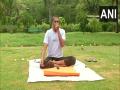 International Yoga Day: Delhi's Lodhi Garden comes to life with yoga enthusiasts - Hindi News | International Yoga Day: Delhi's Lodhi Garden comes to life with yoga enthusiasts | Latest national News at Lokmattimes.com