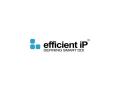 EfficientIP and IDC announces results of its 2021 Global DNS Threat Report - Hindi News | EfficientIP and IDC announces results of its 2021 Global DNS Threat Report | Latest business News at Lokmattimes.com