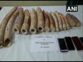 Three held with 19 kg elephant tusks in Odisha's Keonjhar - Hindi News | Three held with 19 kg elephant tusks in Odisha's Keonjhar | Latest national News at Lokmattimes.com