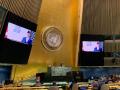 UNGA75: Nepal PM pushes for convention on international terrorism - Hindi News | UNGA75: Nepal PM pushes for convention on international terrorism | Latest international News at Lokmattimes.com