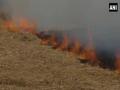 Amid air pollution concerns, farmers in Amritsar continue stubble burning - Hindi News | Amid air pollution concerns, farmers in Amritsar continue stubble burning | Latest national News at Lokmattimes.com